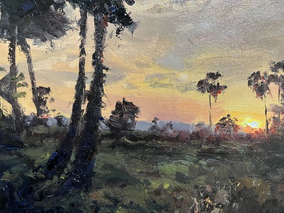 Before the Sun Rests