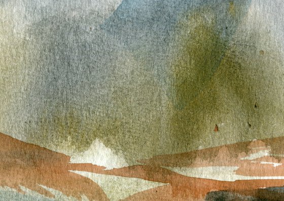 Light on the Marshes