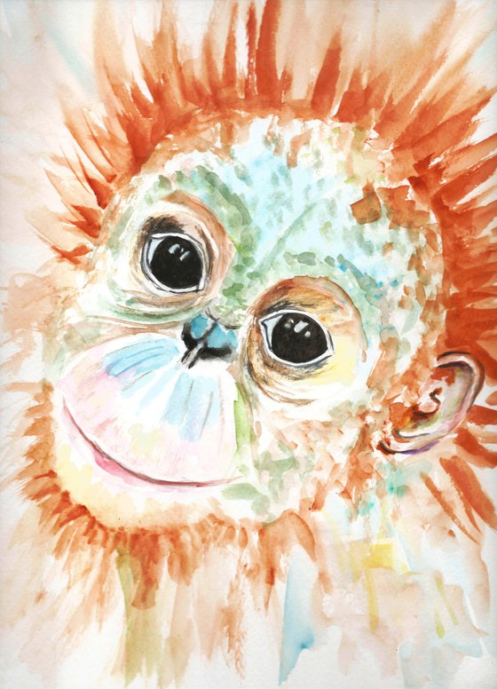 Orangutan Baby Monkey
