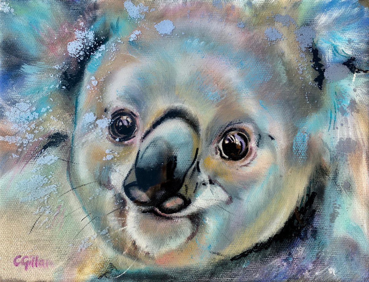 Clarence Koala Bear Original Oil Painting on stretched linen canvas, resin by Carol Gillan