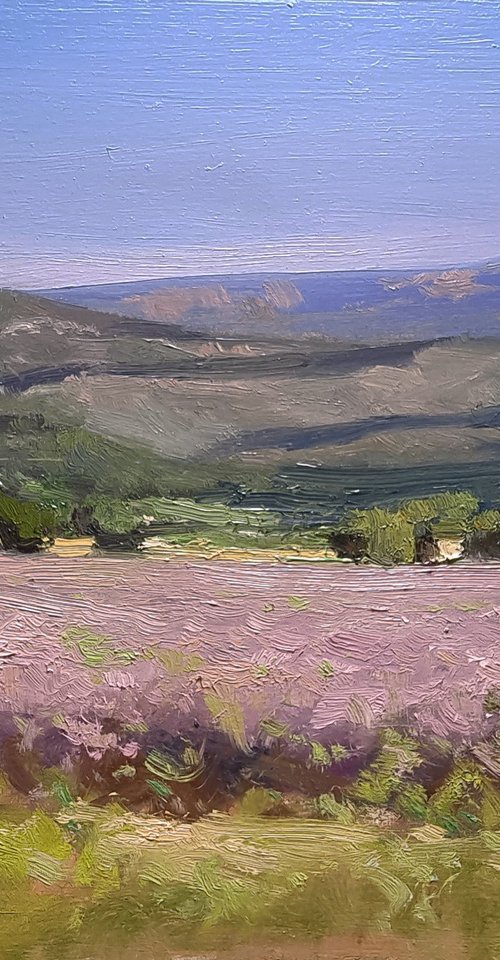 Champs des Dames by Pascal Giroud