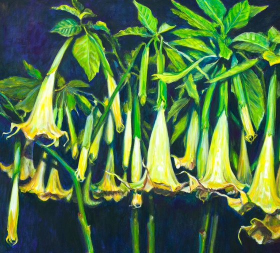Angels Trumpets