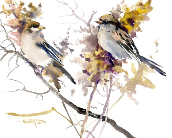 Sparrow Birds and dry flowers