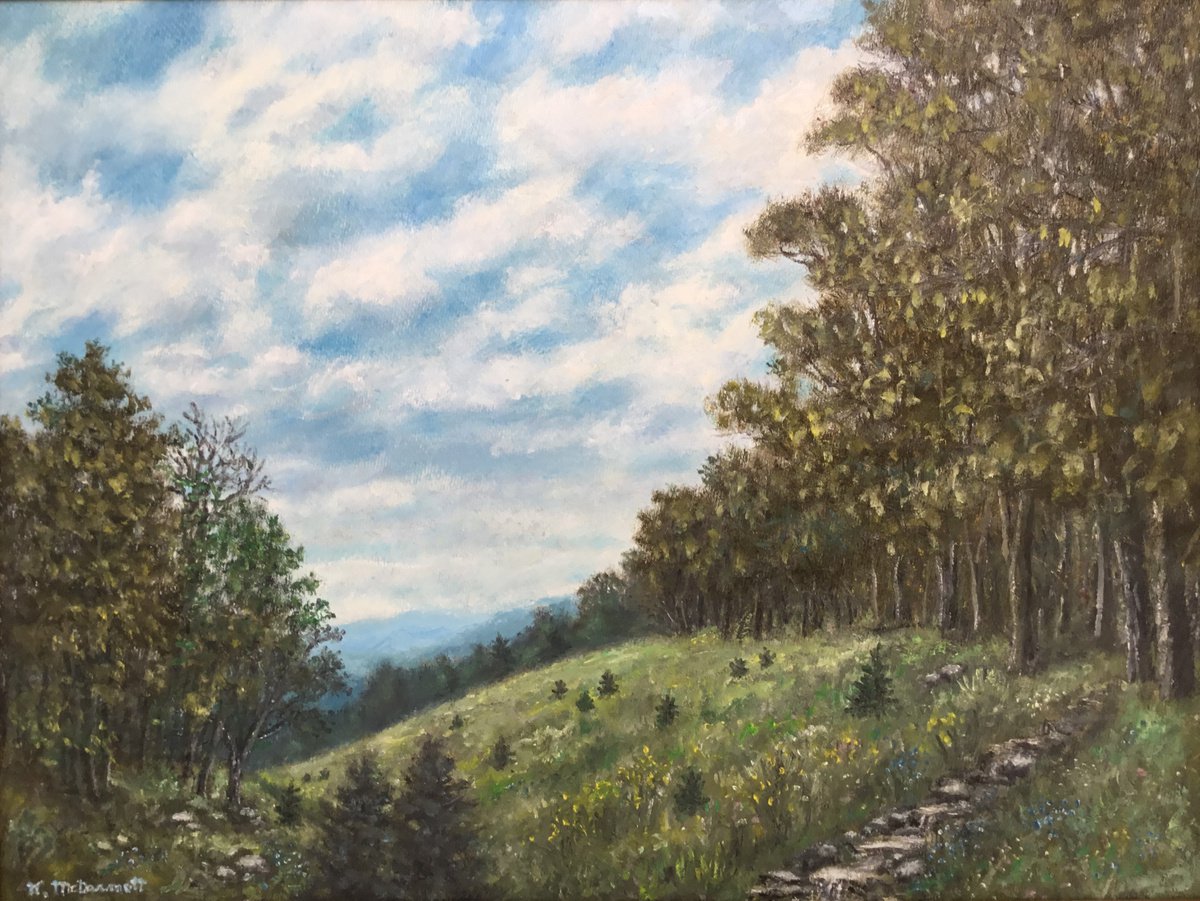 Impressionistic Landscape Oil Painting By Kathleen Mcdermott, 23 X 18", High Meadow Pine Seedlings, Original Artwork