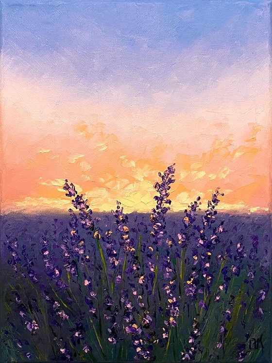 Lavender sunset