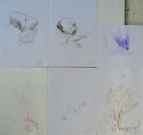 Six sketches - Birds, 21x29 cm - affordable & AF exclusive ! by Frederic Belaubre