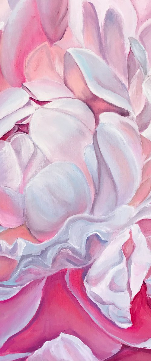 Pink peony by Olga Volna