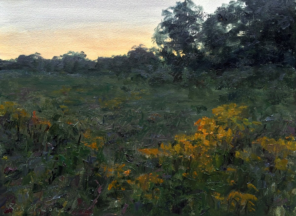 Wild Summer Meadow By Michael Rak, 16 X 12, Artwork For Sale On Artfinder