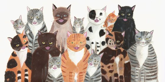 Cat's Chorus