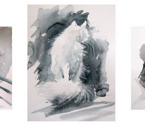 White cats collection by Kovács Anna Brigitta