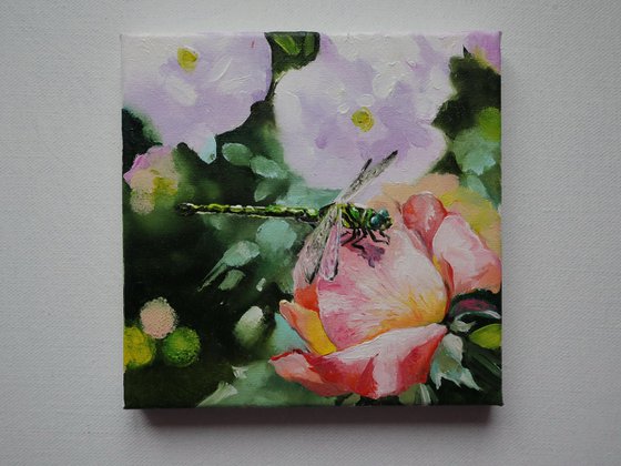 Dragonfly on Pink Rose
