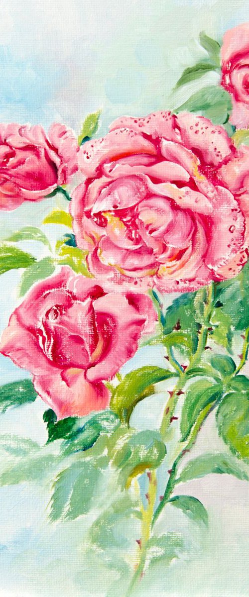 Pink roses by Daria Galinski