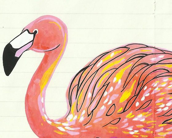 Birds of North America: American Flamingo