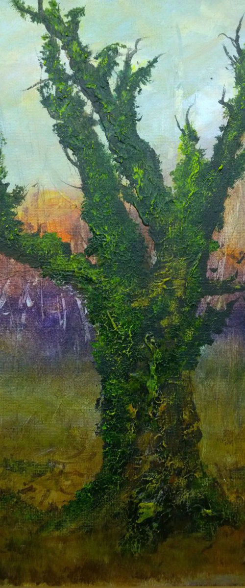 "OLD OAK AND IVY" by Colin Buckham