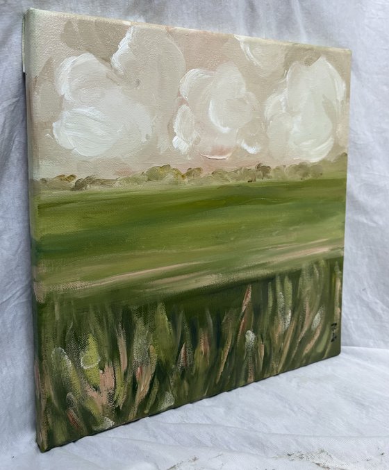 Creamy clouds horizon and soft fields