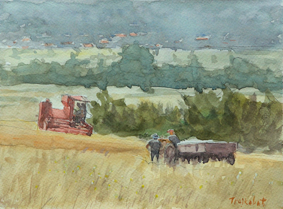 Harvest time by Dejan Trajkovic