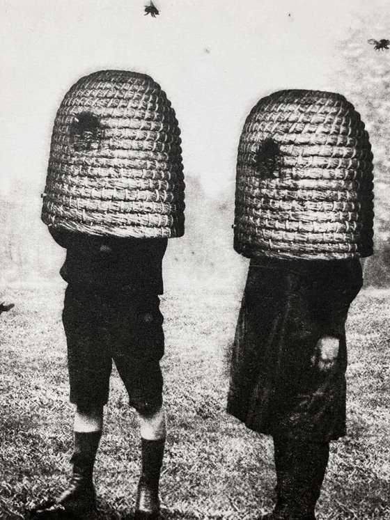 Brood II