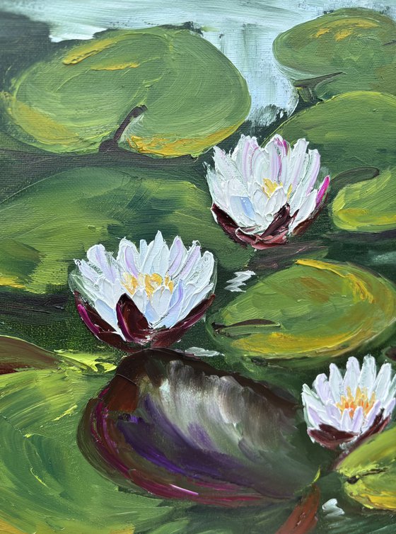 Serenity of Water Lilies