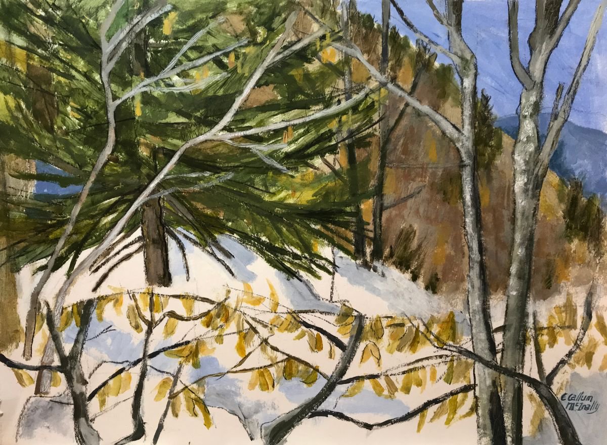 Snowy woodland by Christine Callum McInally