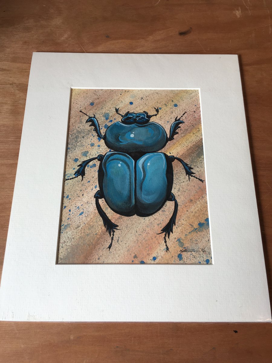 Dung Beetle by Matt Buckett
