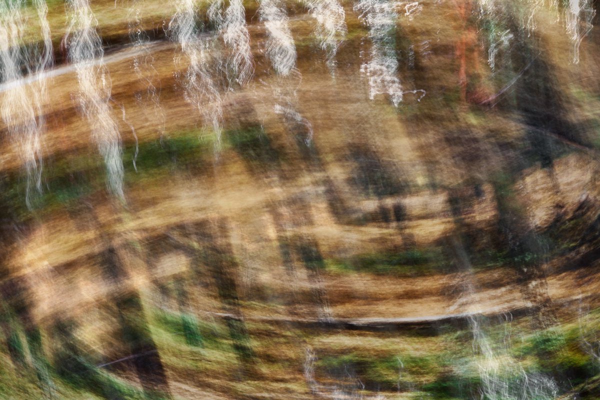 Abstract Photograph By Karim Carella, 45 X 31", Ruska (Studio 6), Original Artwork