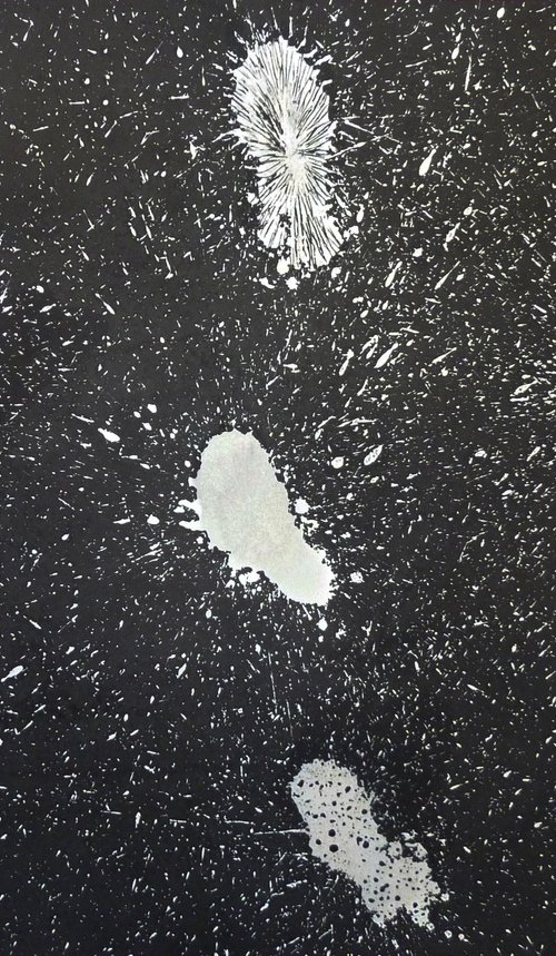 Accidental Degeneracies 5 by Elizabeth Anne Fox
