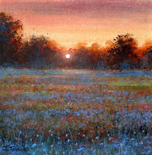 Morning Glow by Jennifer Taylor