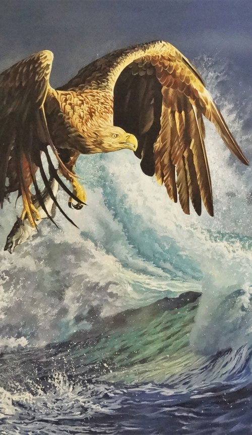 Sea Eagle by Julian Wheat