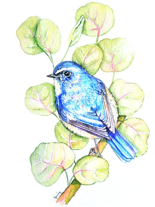 Bluebird by Marian Gorin