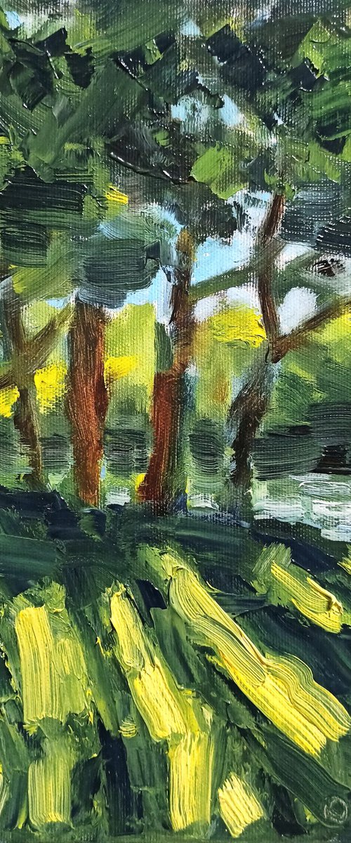 Impression. By the river by Oleh Rak