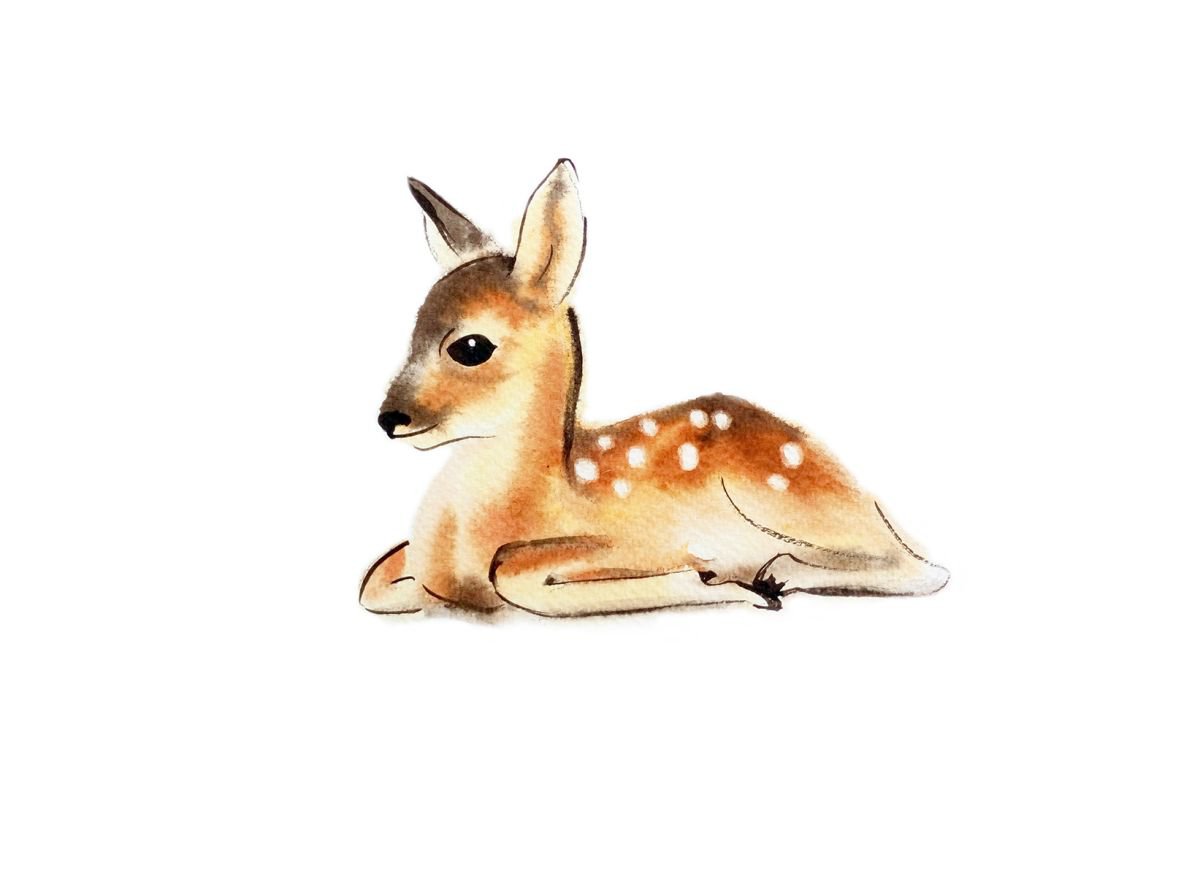 Baby Deer рисунки