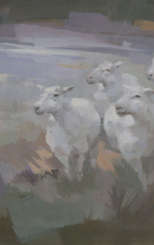 Happy Sheep by Steve Mitchell