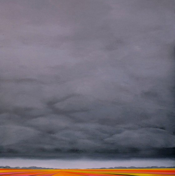 Flowerfields and a blanket of clouds