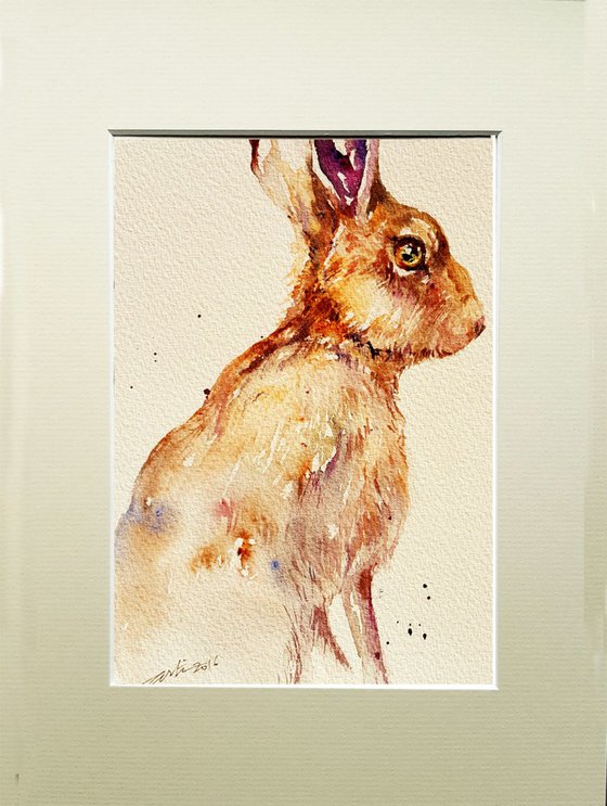 Purple Ears Hare