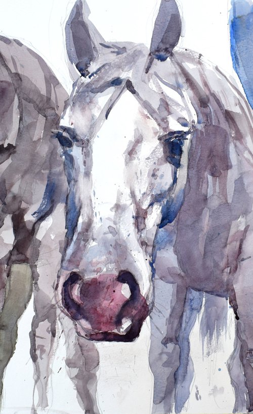 Three horses (70x50) by Goran Žigolić Watercolors