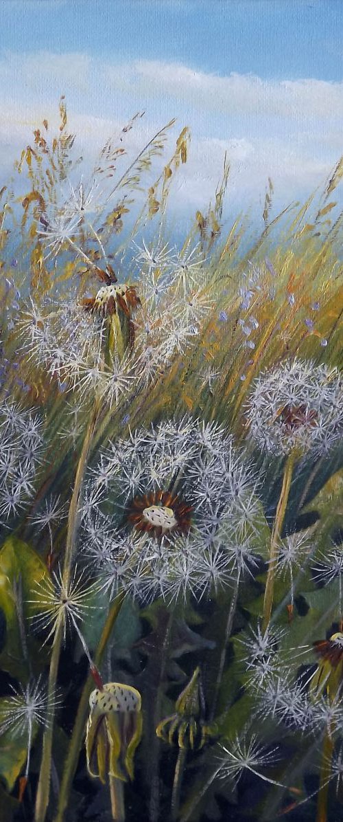 Dandelion Field by Oleg Riabchuk