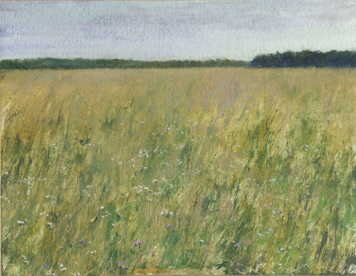 Wheat field by Daniil Belov