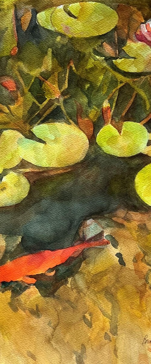 Goldfish Pond by Bronwen Jones