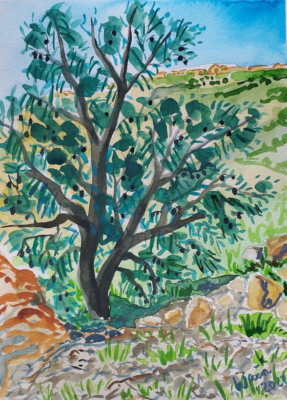 Black olive tree in Andalucia