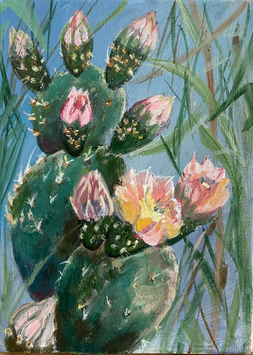 Prickly Pear - Ii By Nadya Peovska, 8 X 10, Artwork For Sale On Artfinder