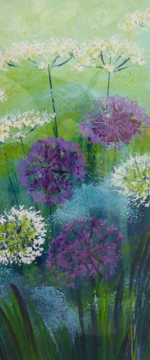Allium Burst by Elaine Allender