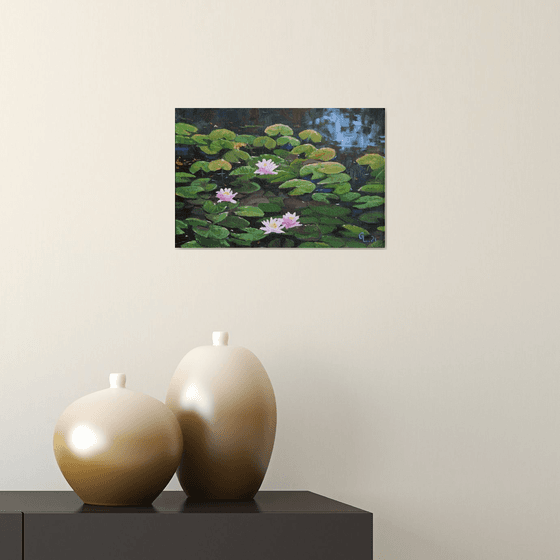 Pink water lilies - original oil. 30x20