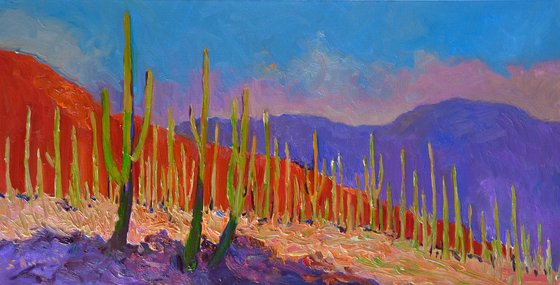 Before the Evening. Saguaros
