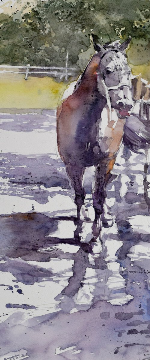 Horse in the yard  1 by Goran Žigolić Watercolors