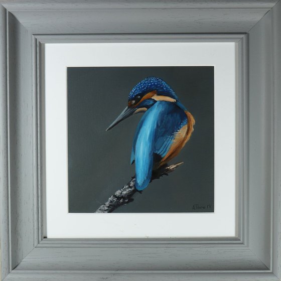 Kingfisher, Bird Artwork, Animal Art Framed