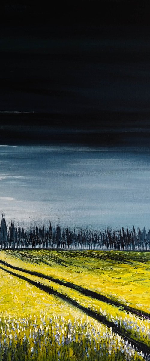 The way to Horizon- Fields and Colors Series by Danijela Dan
