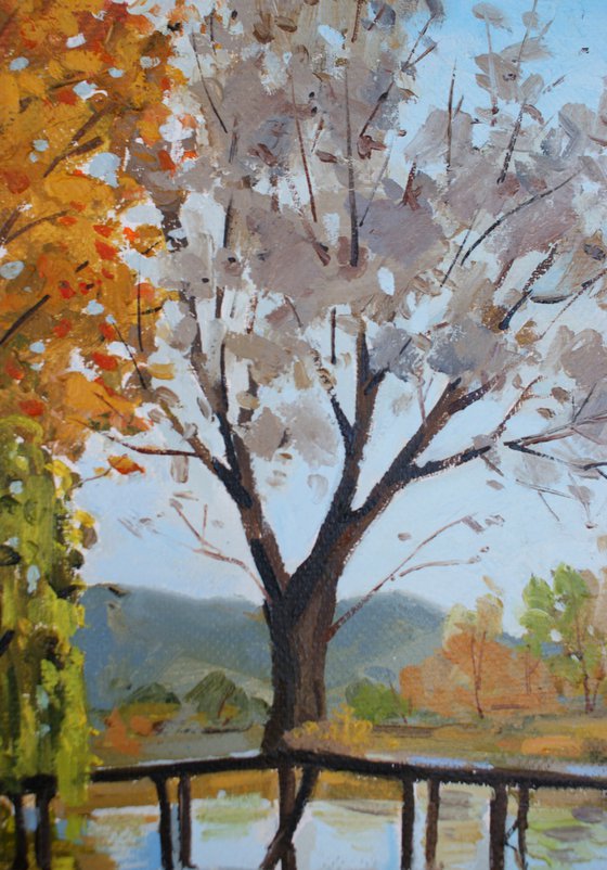 Autumn in Drilon