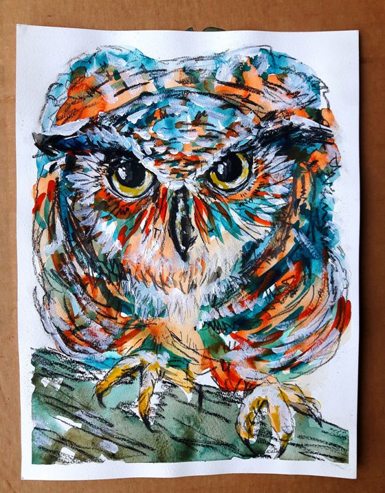 "The Owl stare""