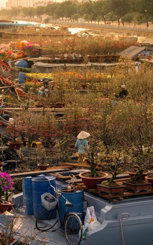 Floating Flower Market by Serge Horta