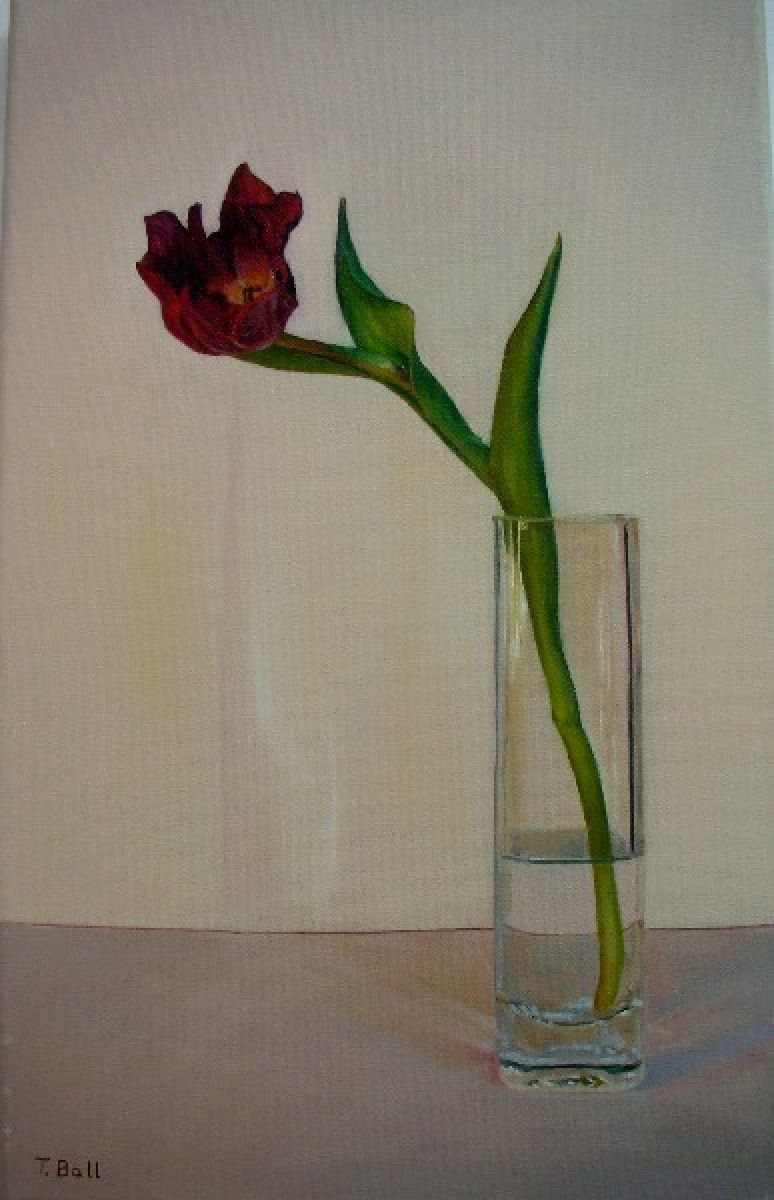 Red Tulip in Vase by Trinidad Ball